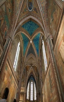8 dicembre assisi