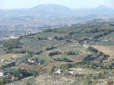 come raggiungere assisi